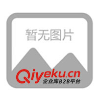 廣東安檢門，電子廠金屬探測(cè)門，五金廠金屬盜門